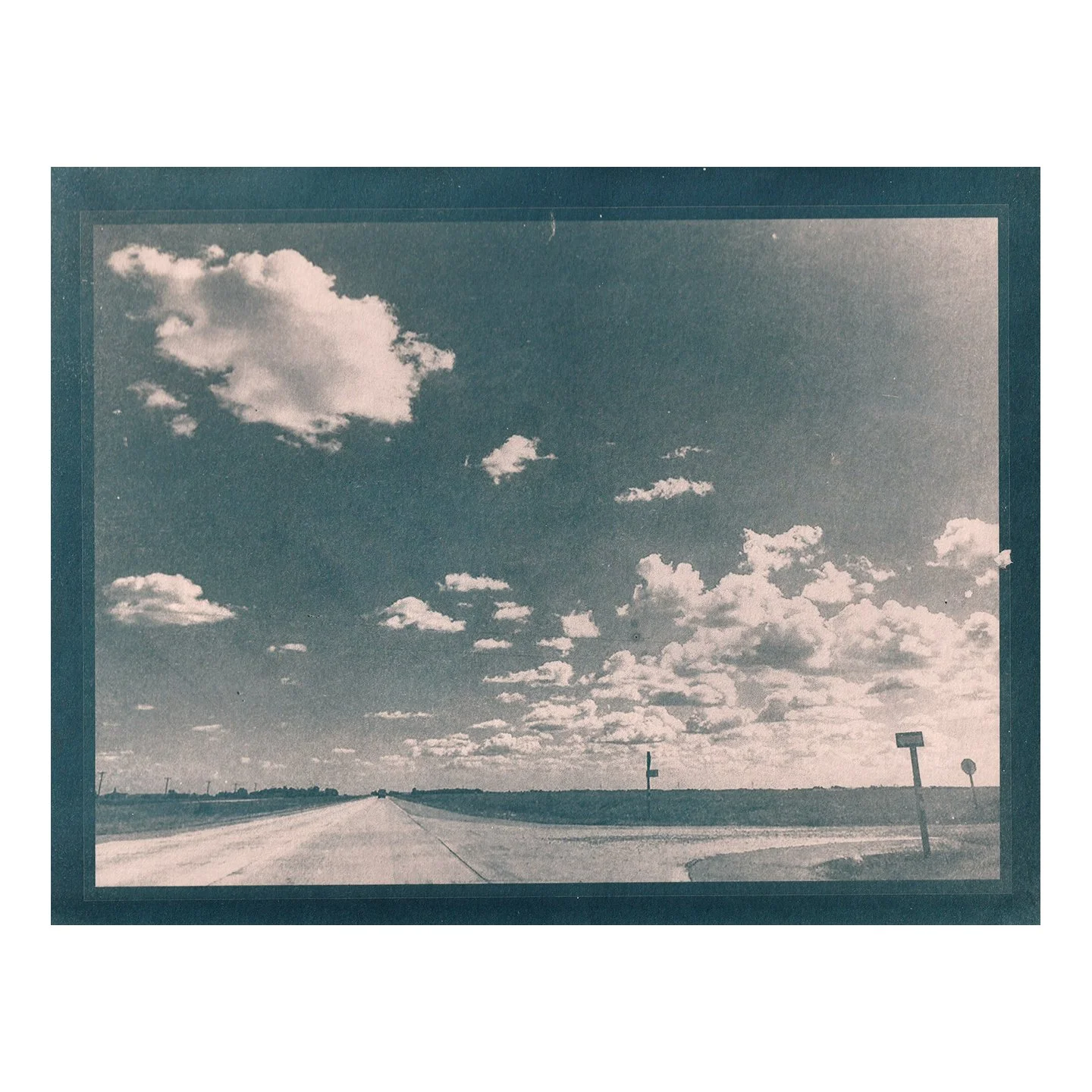 Cyanotype Print
