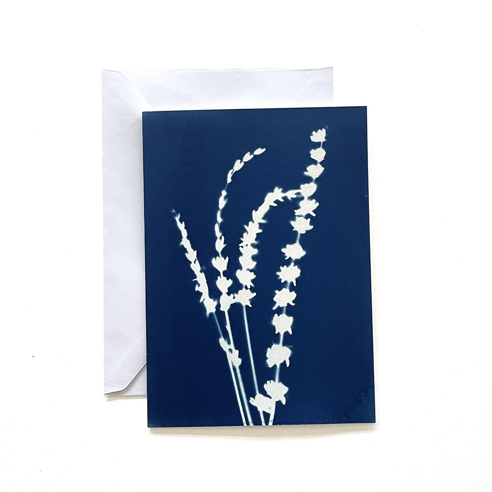Cyanotype Greeting Card