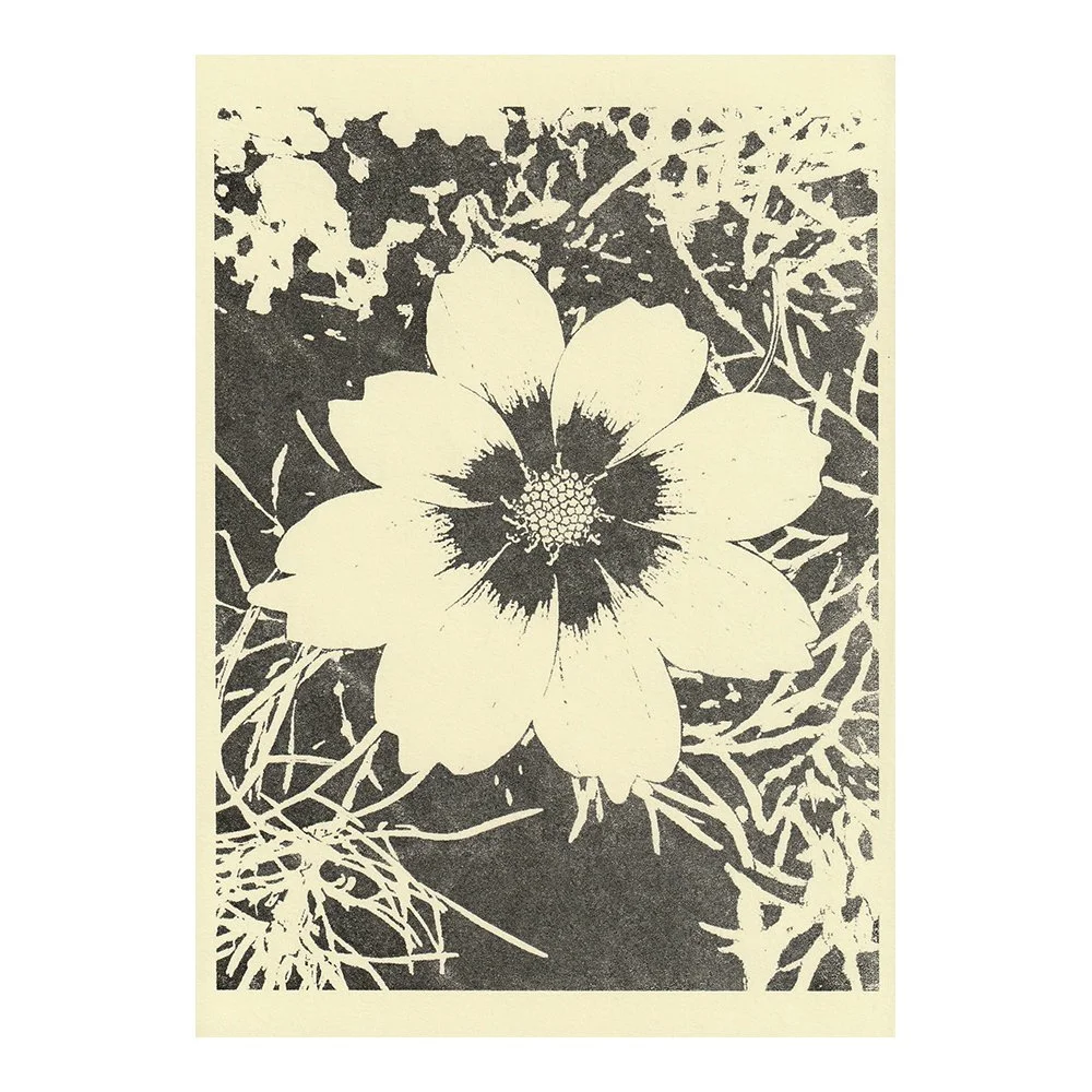 Image Transfer Print - 5" x 7"