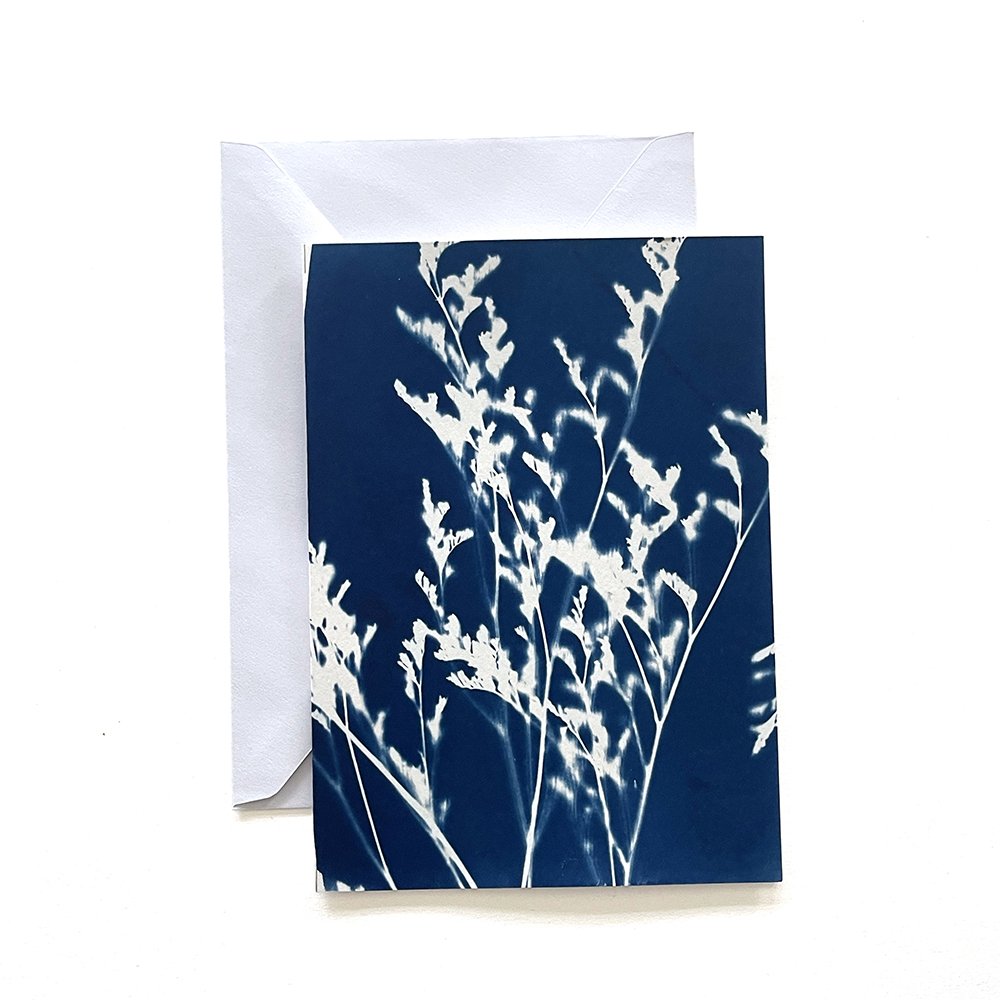 Cyanotype Greeting Card