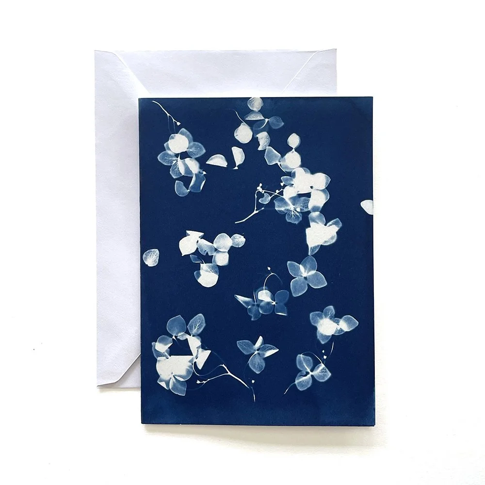 Cyanotype Greeting Card