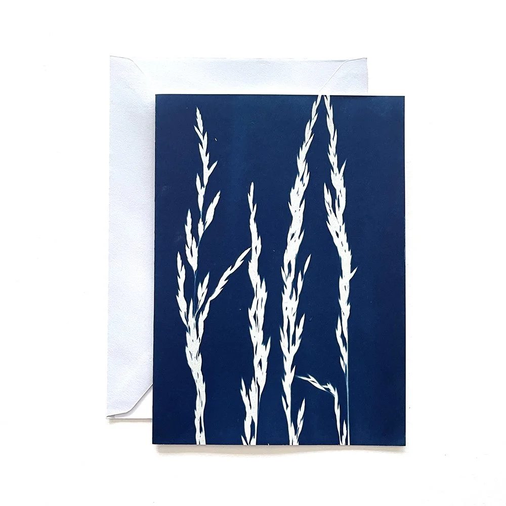 Cyanotype Greeting Card