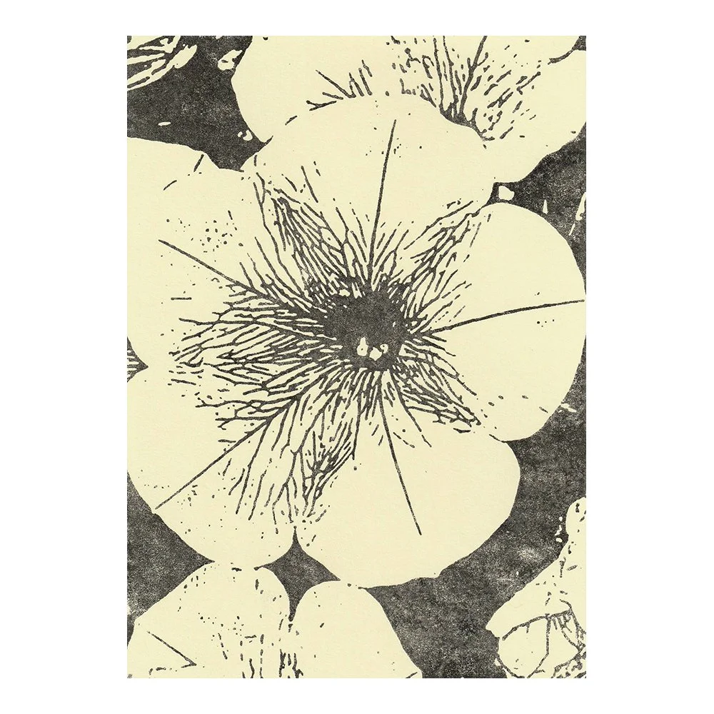 Image Transfer Print - 5" x 7"