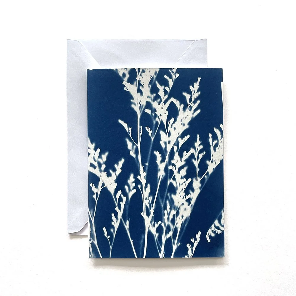 Cyanotype Greeting Card