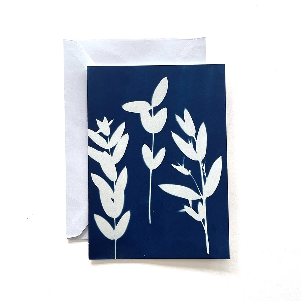 Cyanotype Greeting Card