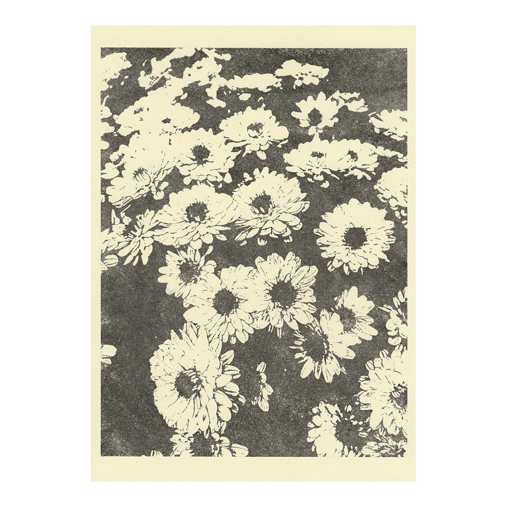 Image Transfer Print - 5" x 7"