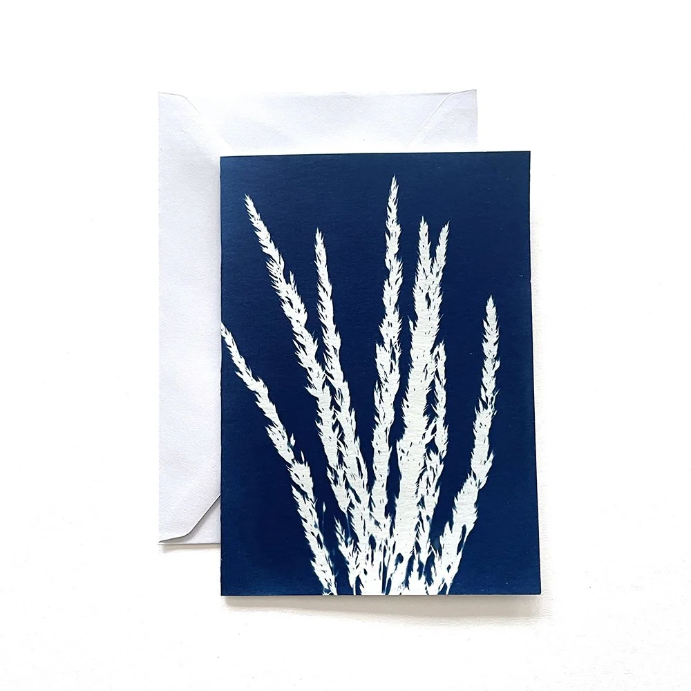 Cyanotype Greeting Card