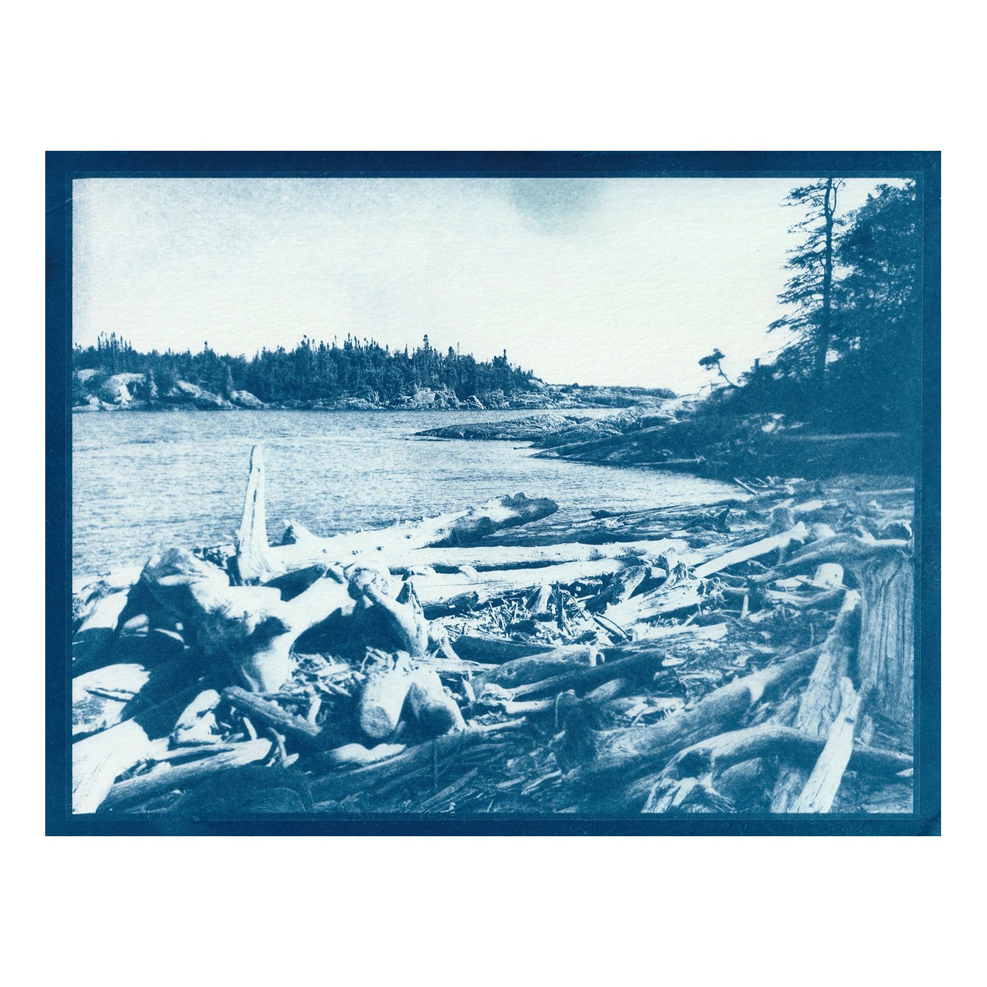 Cyanotype Print