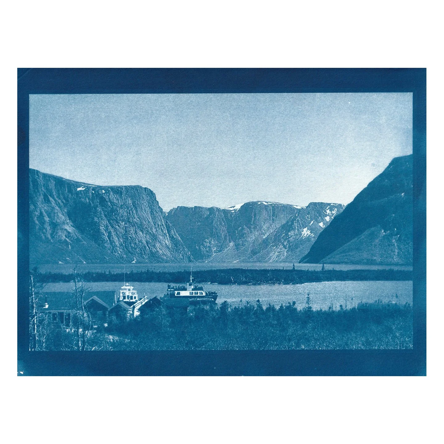 Cyanotype Print