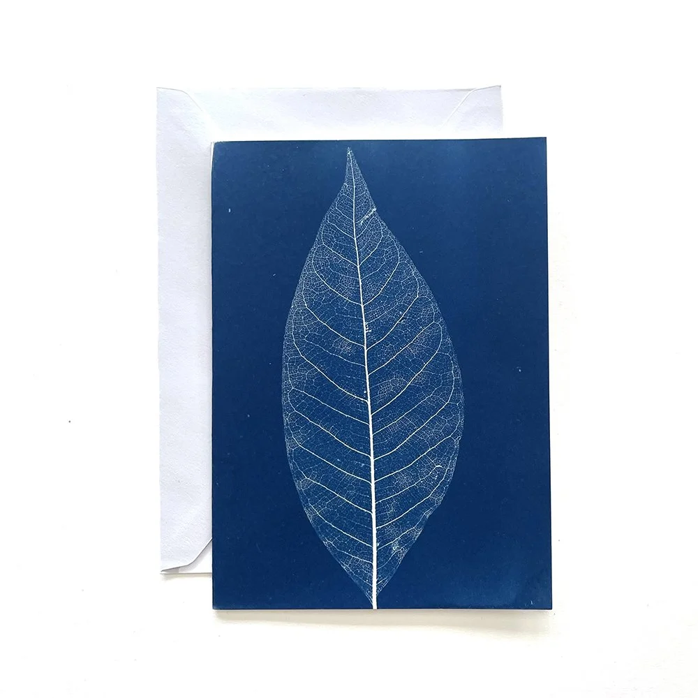 Cyanotype Greeting Card