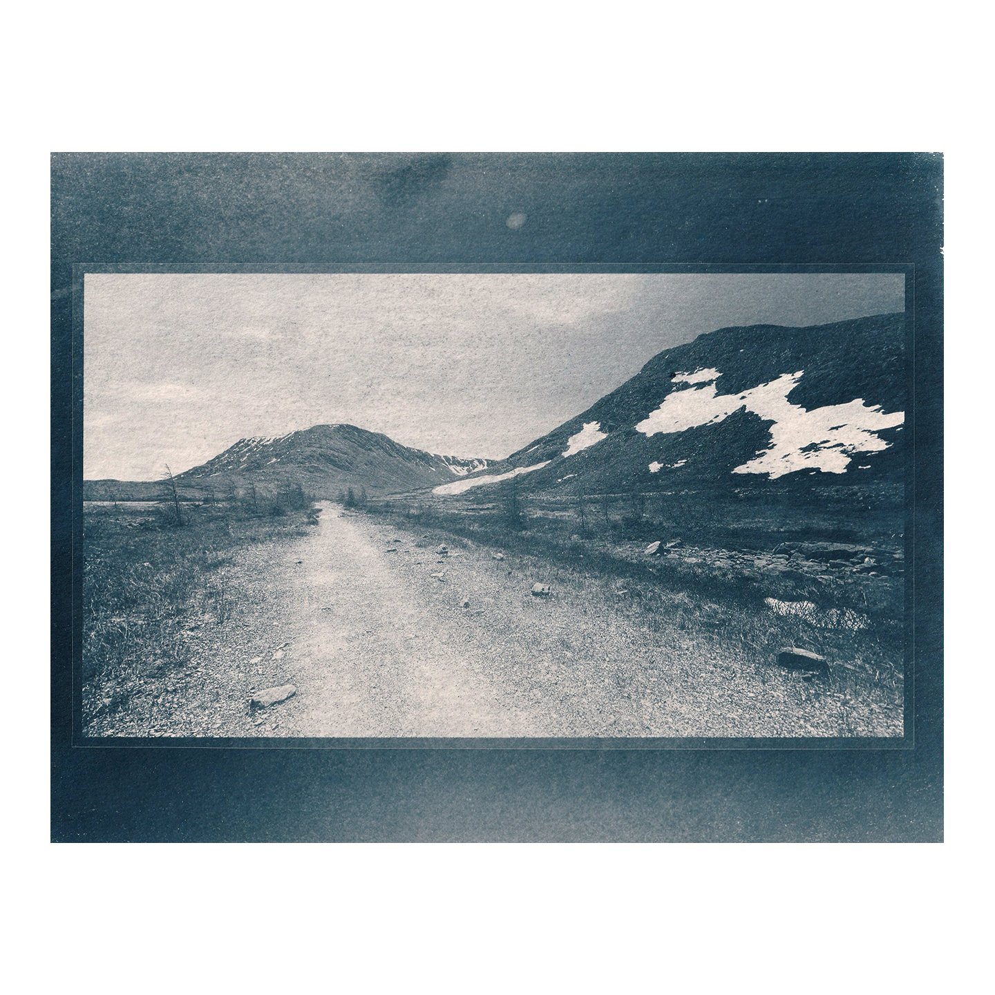 Cyanotype Print