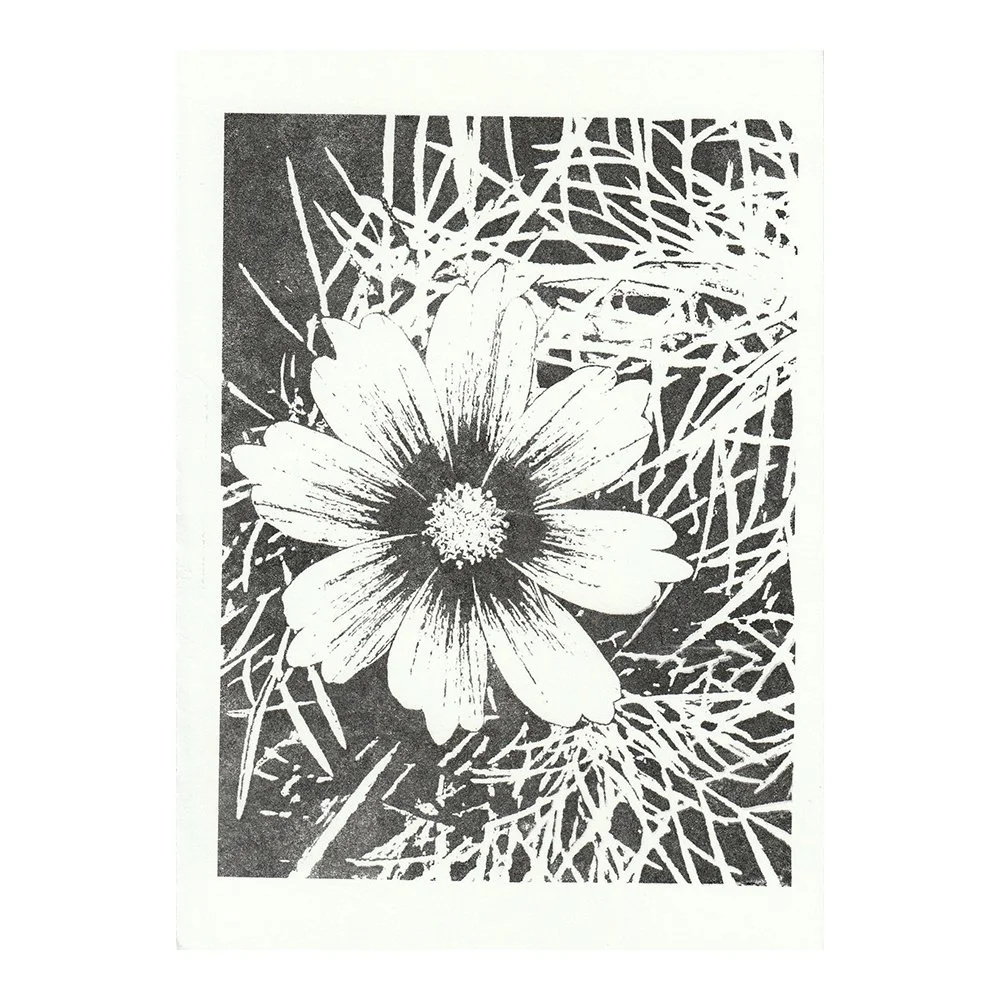 Image Transfer Print - 5" x 7"