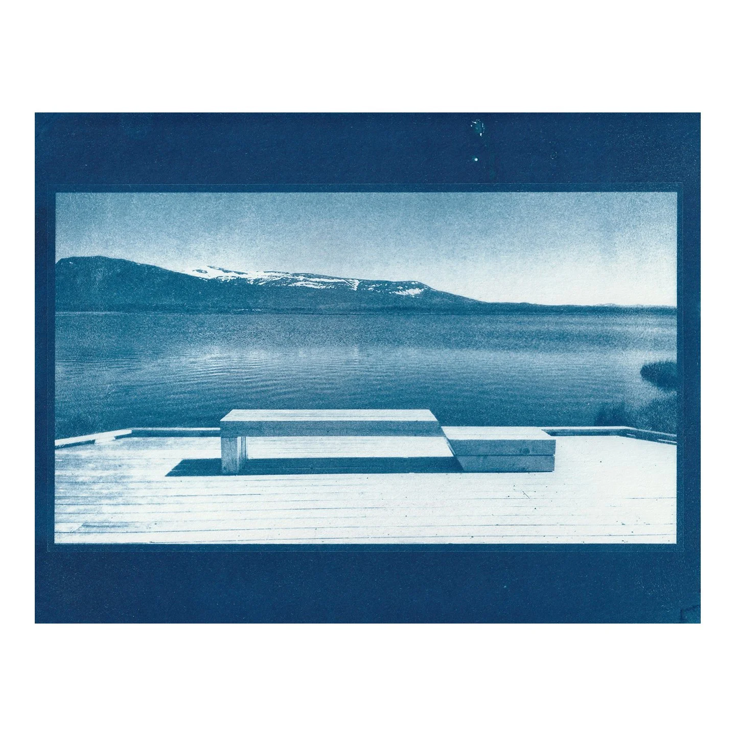 Cyanotype Print