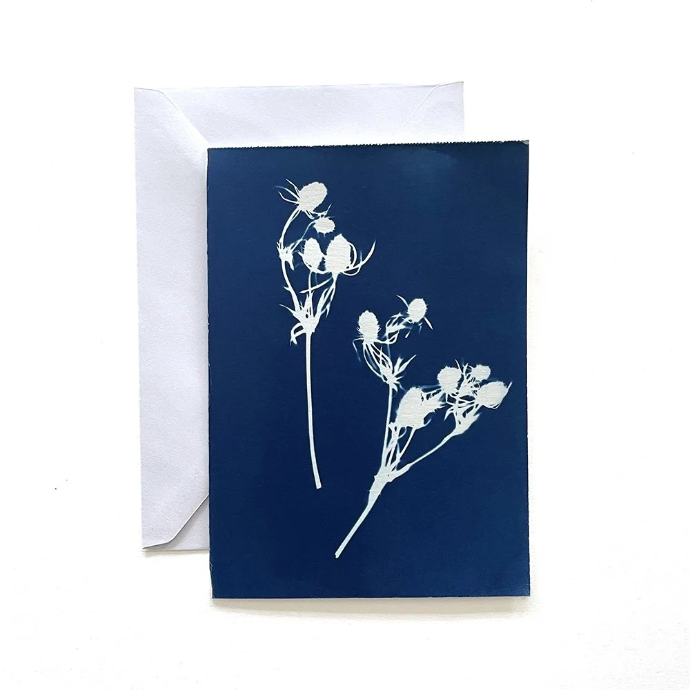 Cyanotype Greeting Card