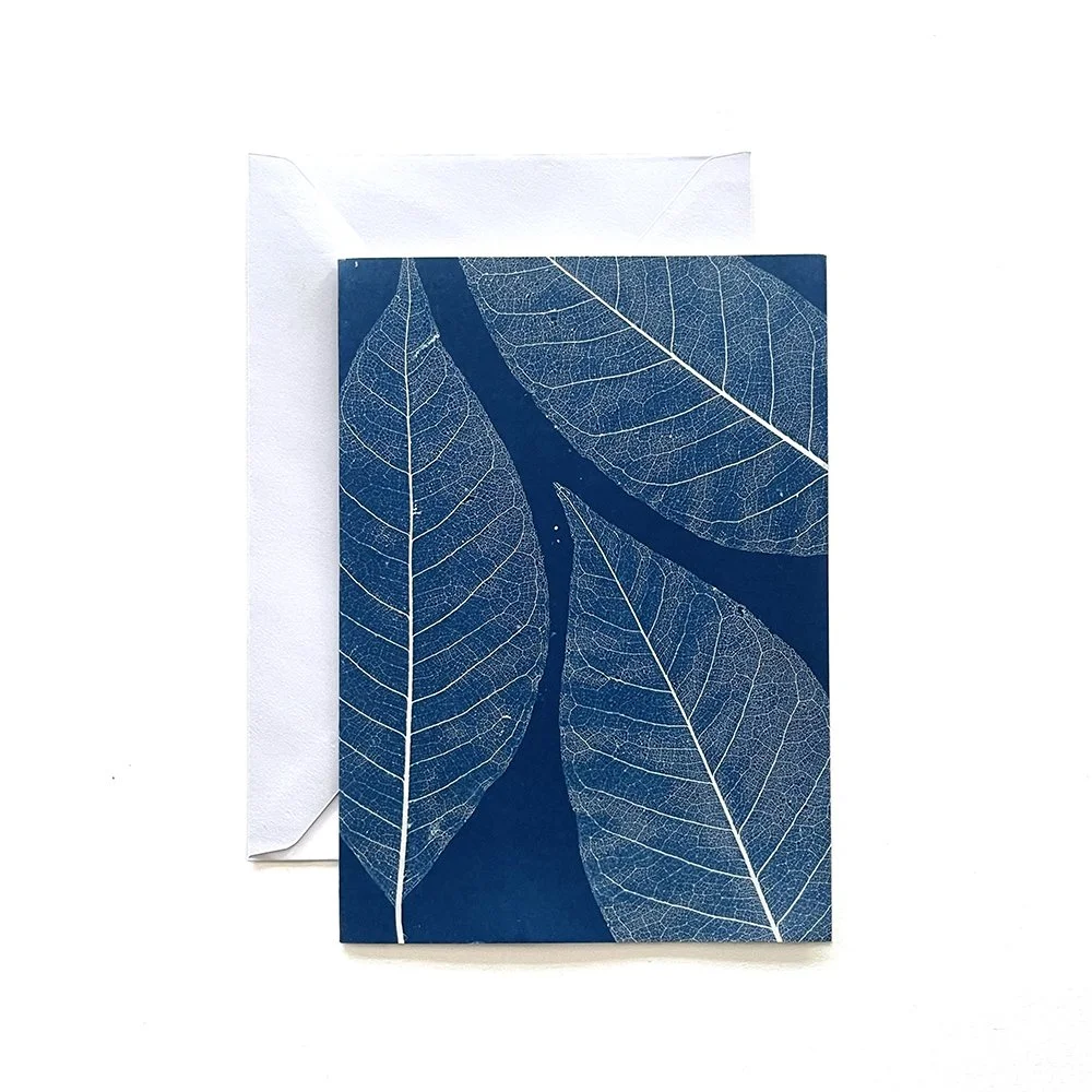 Cyanotype Greeting Card