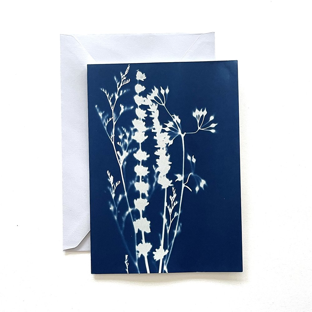 Cyanotype Greeting Card