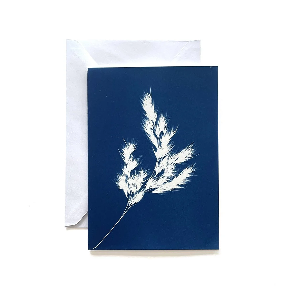 Cyanotype Greeting Card
