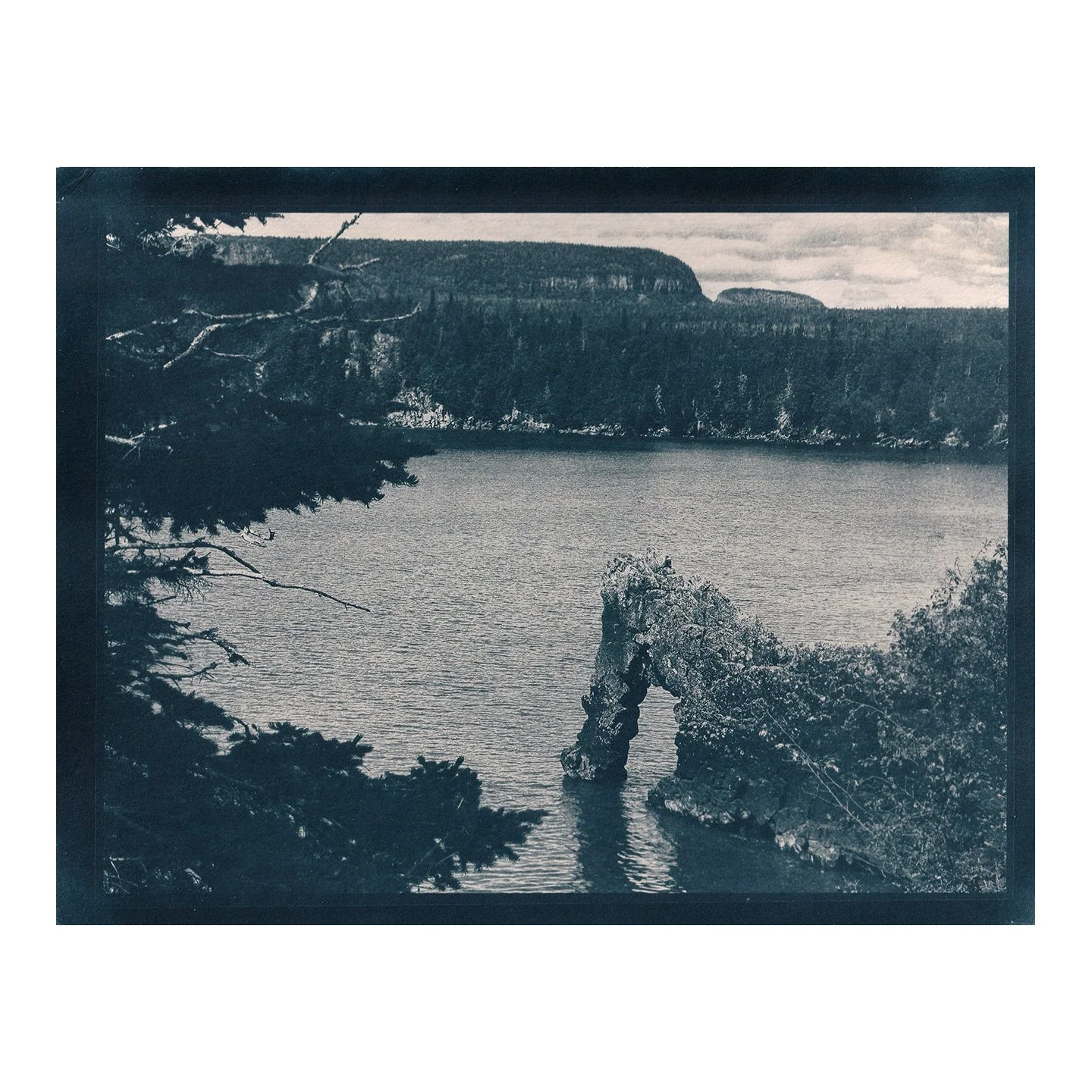 Cyanotype Print