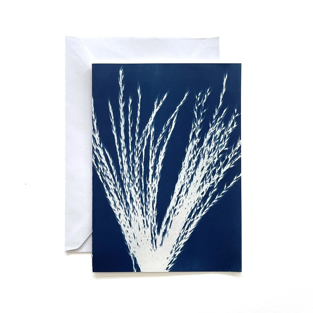 Cyanotype Greeting Card