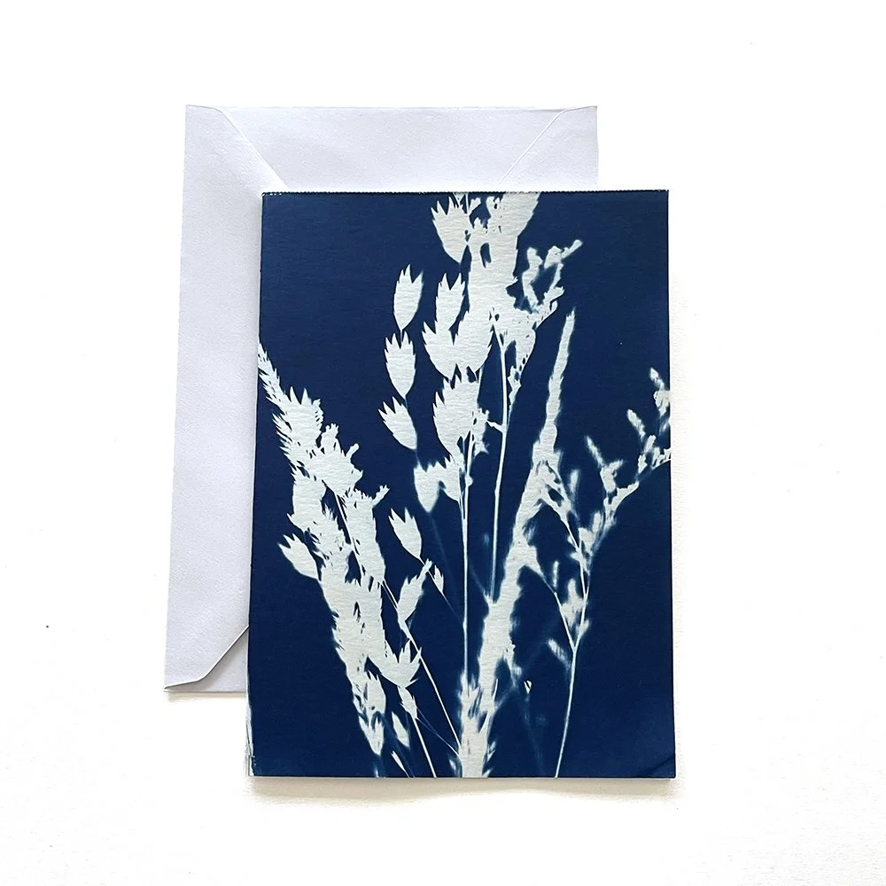 Cyanotype Greeting Card