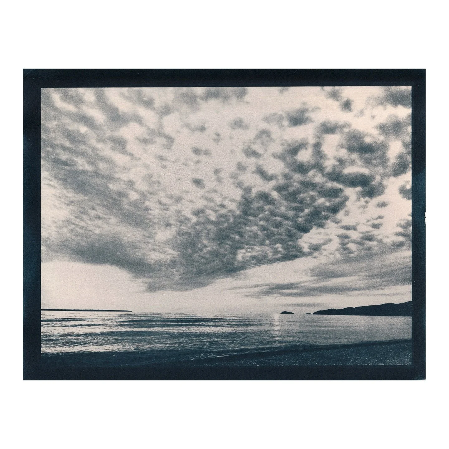 Cyanotype Print