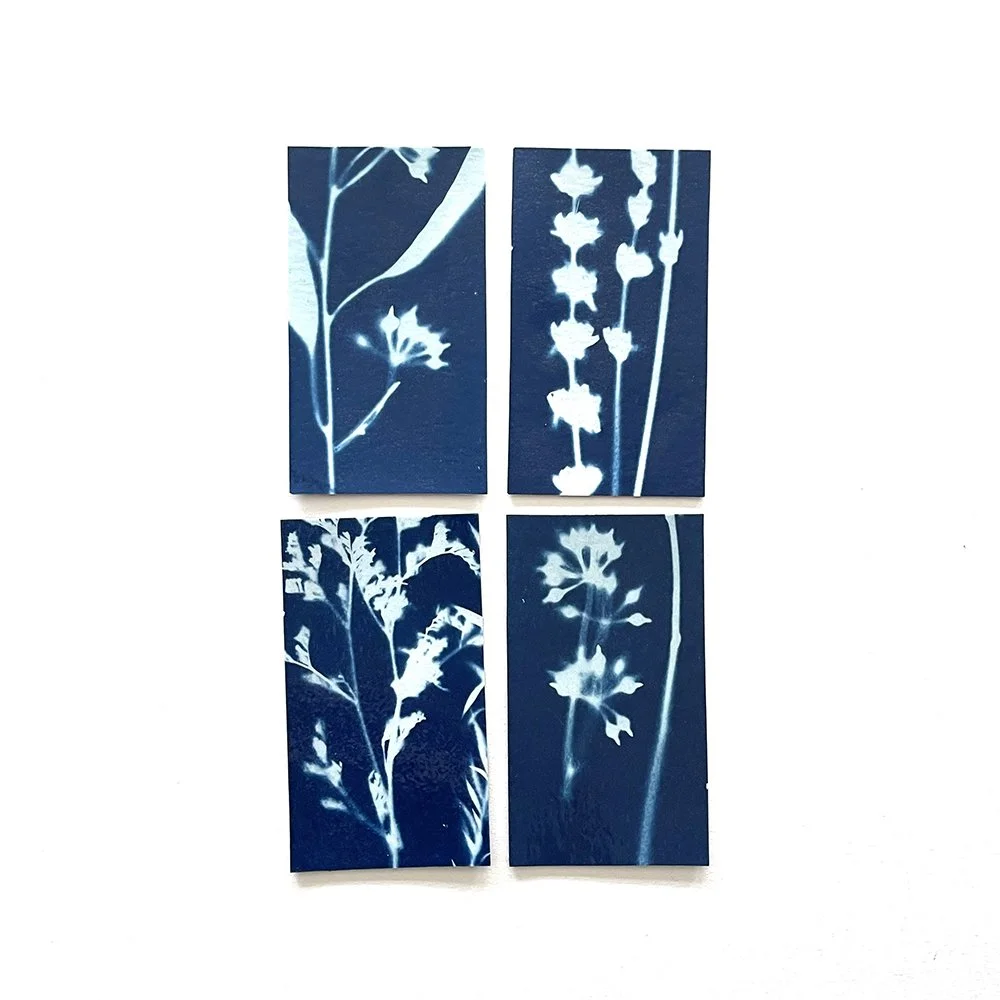 Cyanotype Magnets - Set of 4