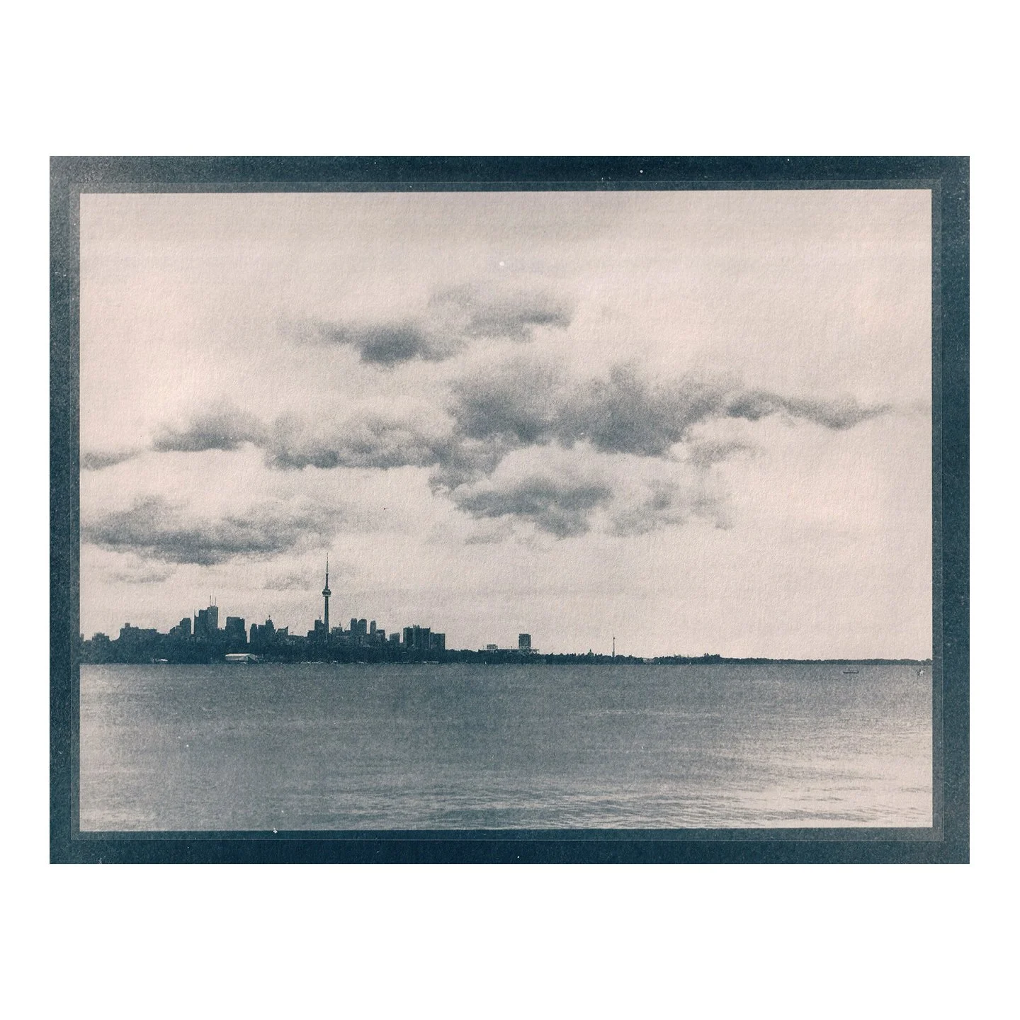 Cyanotype Print