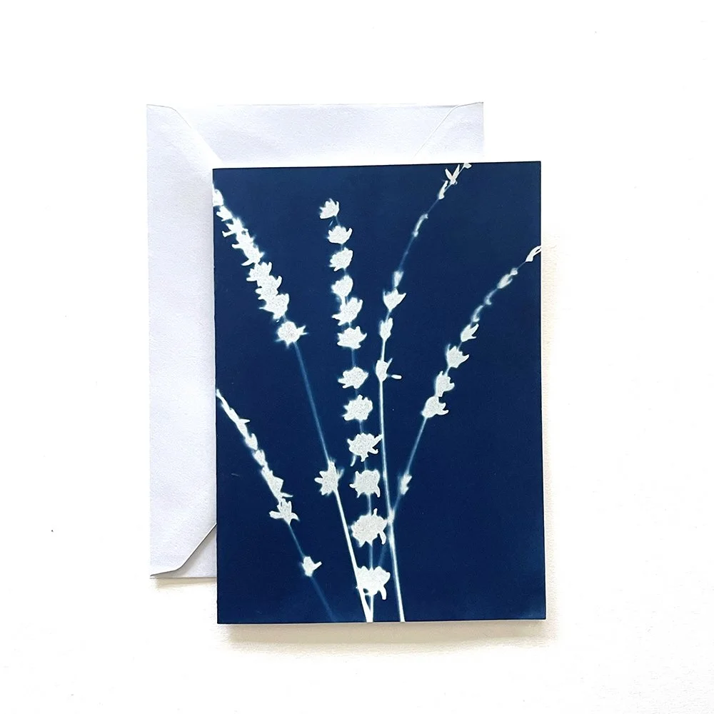 Cyanotype Greeting Card
