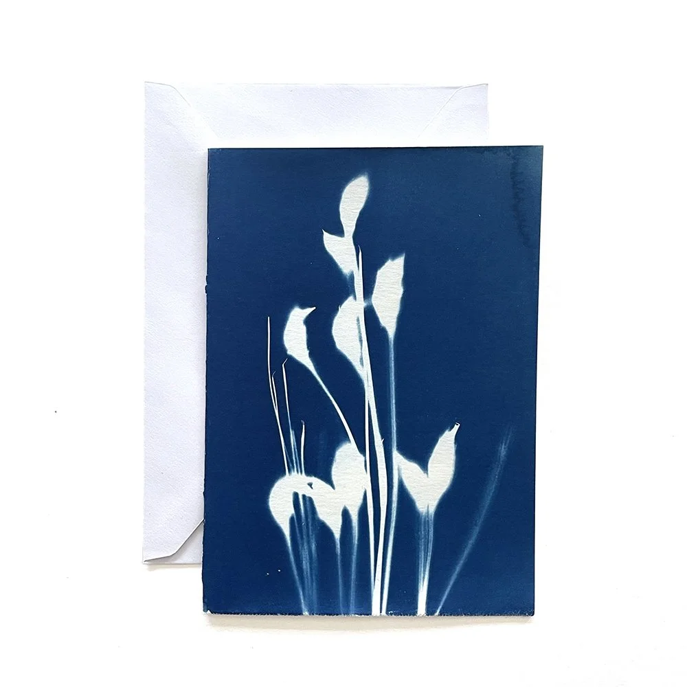 Cyanotype Greeting Card