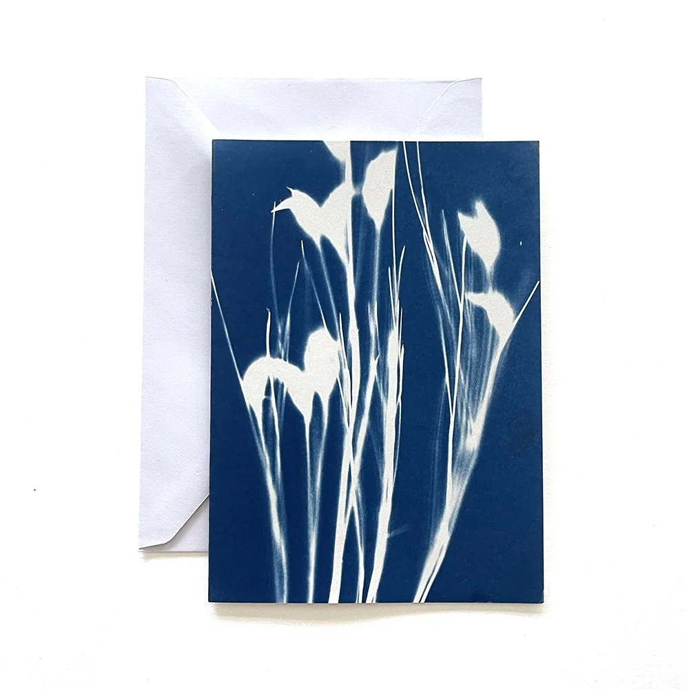 Cyanotype Greeting Card