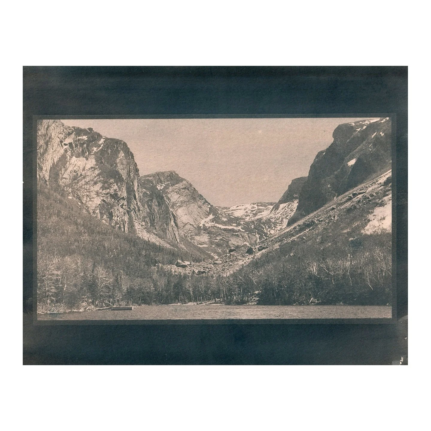 Cyanotype Print