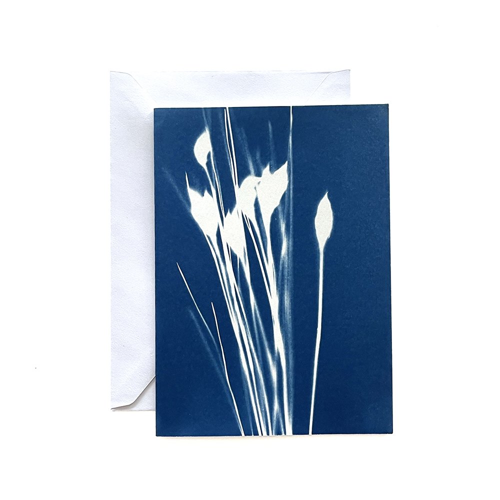 Cyanotype Greeting Card