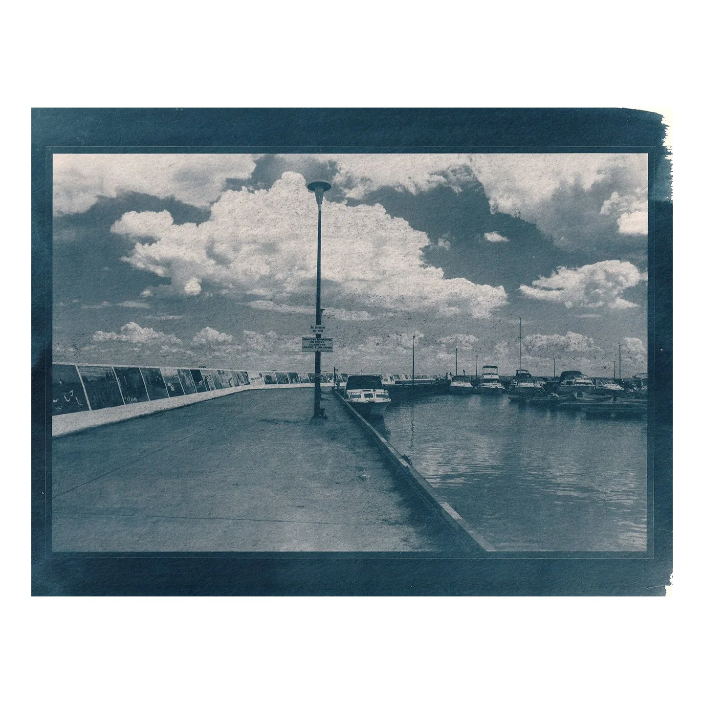 Cyanotype Print