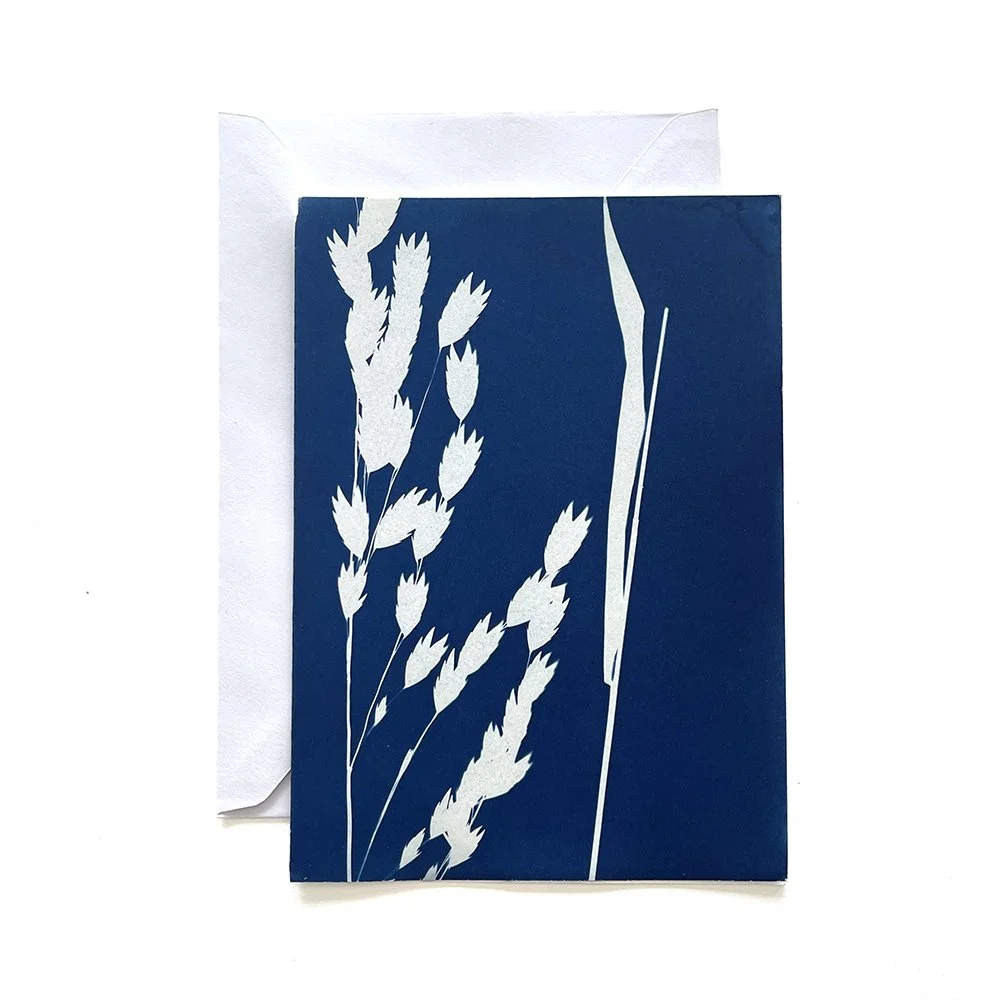 Cyanotype Greeting Card