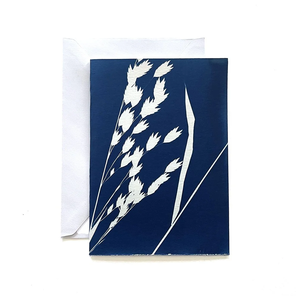 Cyanotype Greeting Card