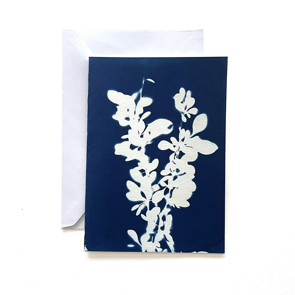 Cyanotype Greeting Card