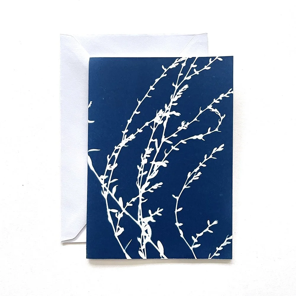 Cyanotype Greeting Card