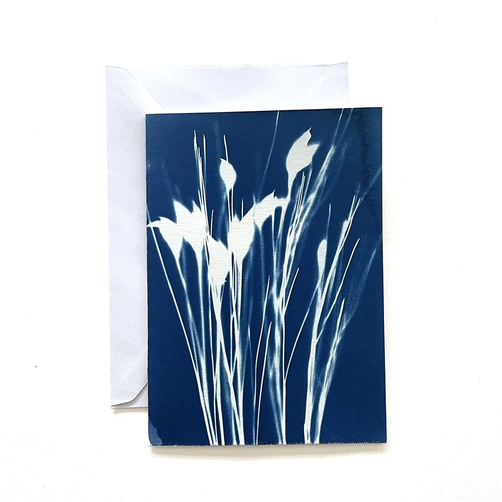 Cyanotype Greeting Card