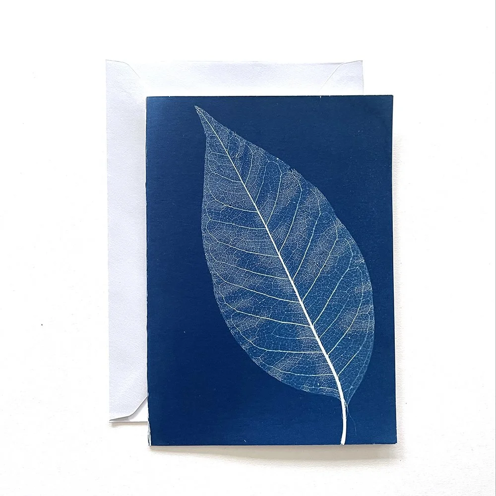 Cyanotype Greeting Card