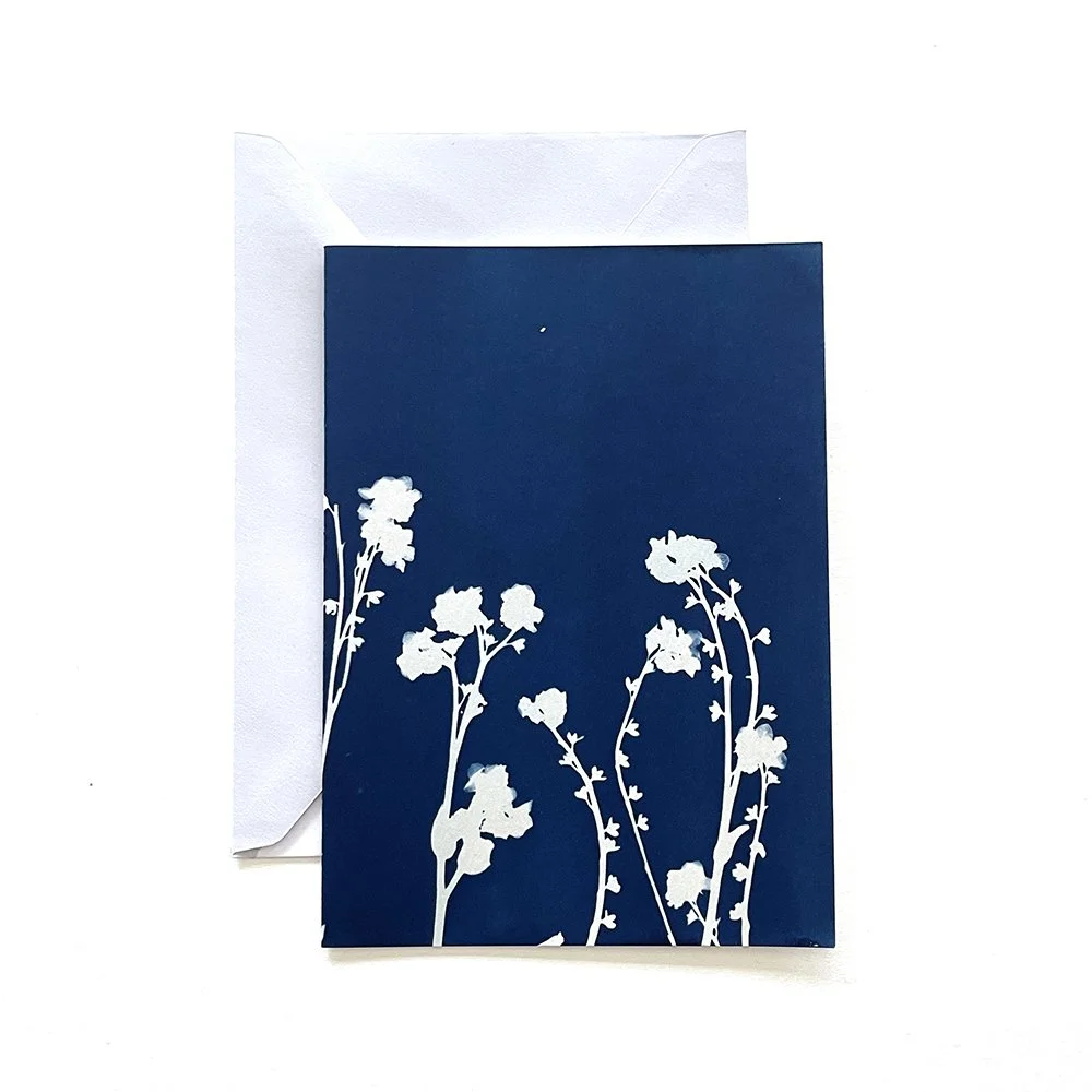 Cyanotype Greeting Card