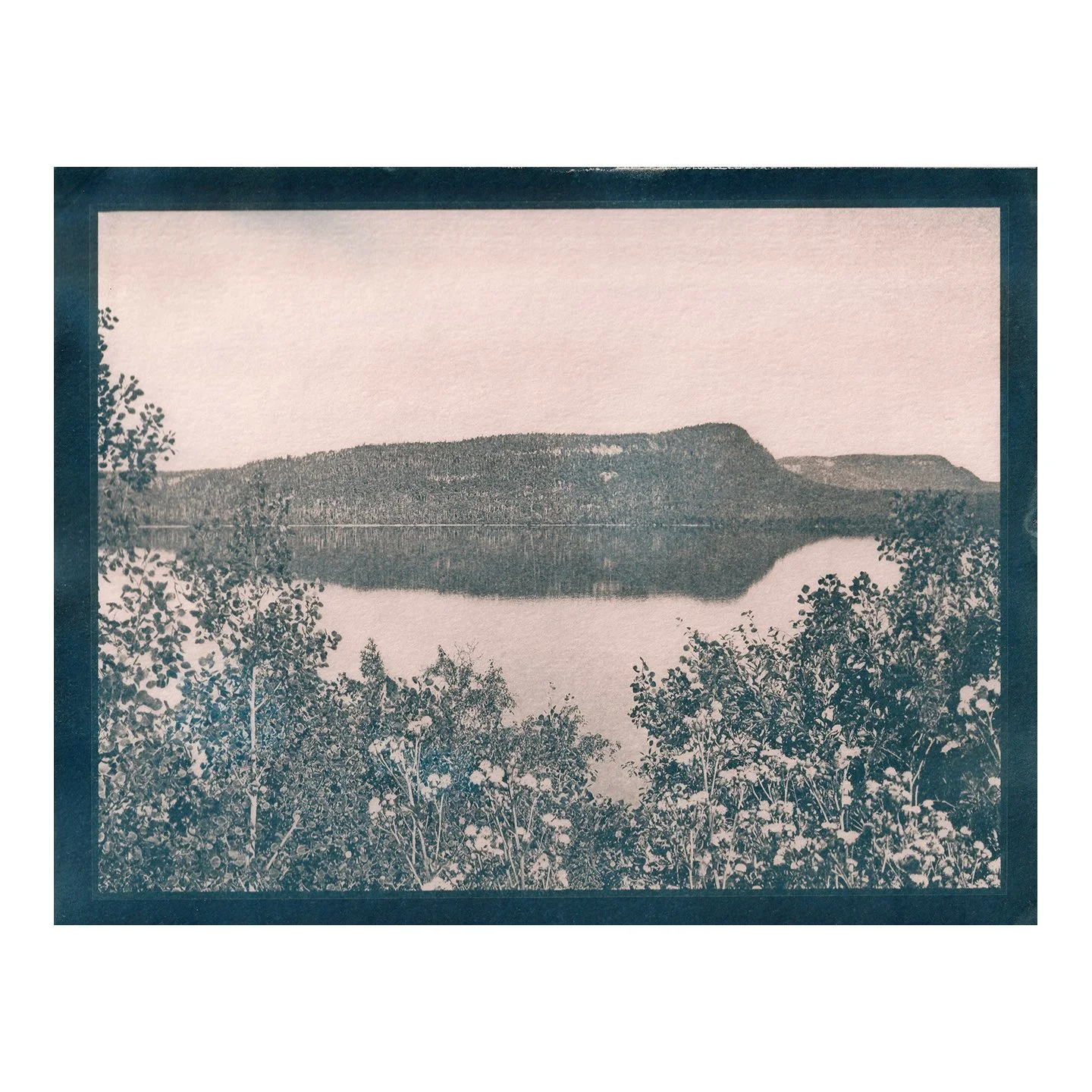 Cyanotype Print