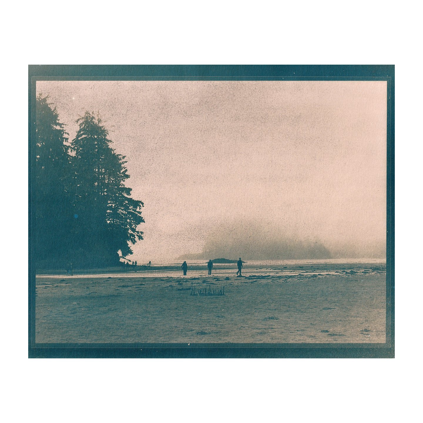 Cyanotype Print