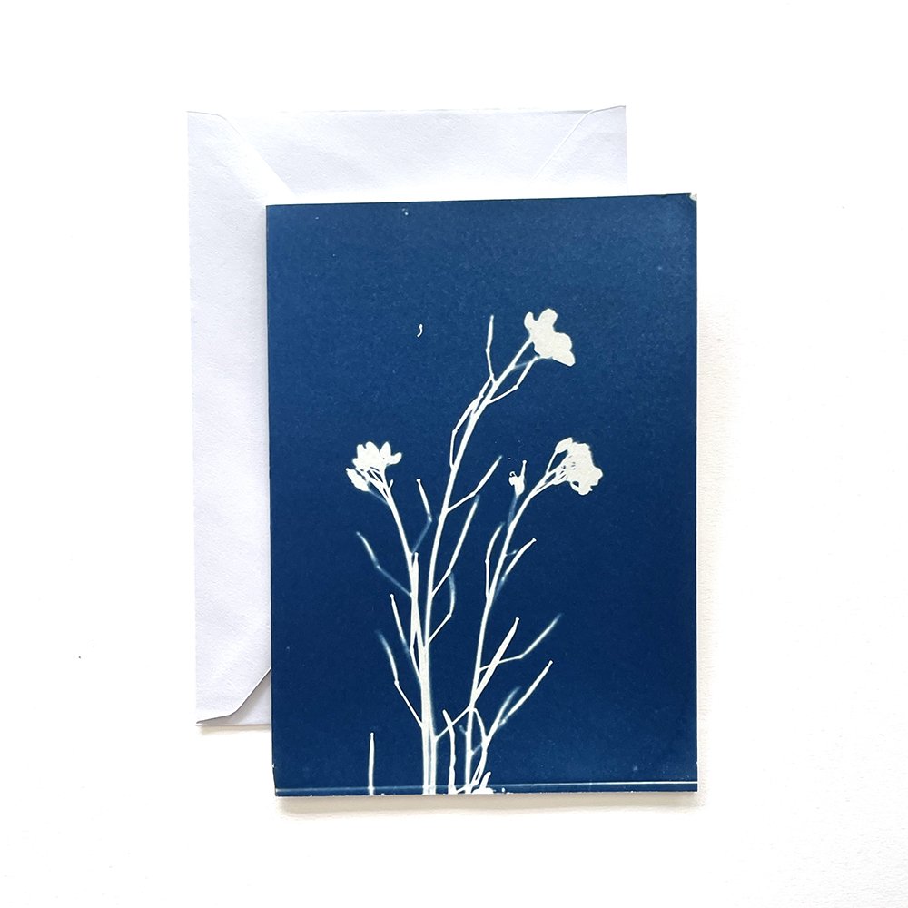 Cyanotype Greeting Card