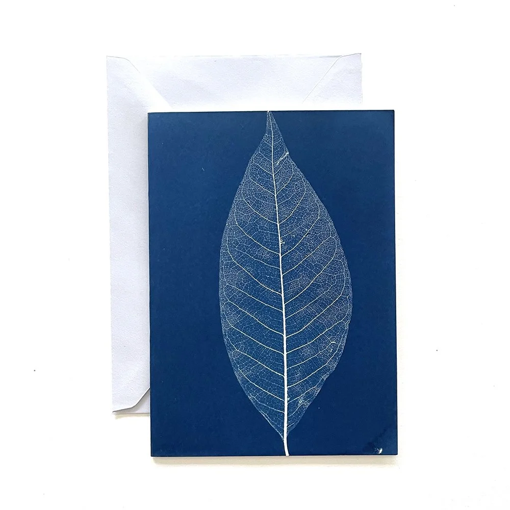 Cyanotype Greeting Card