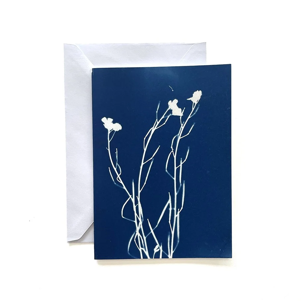 Cyanotype Greeting Card
