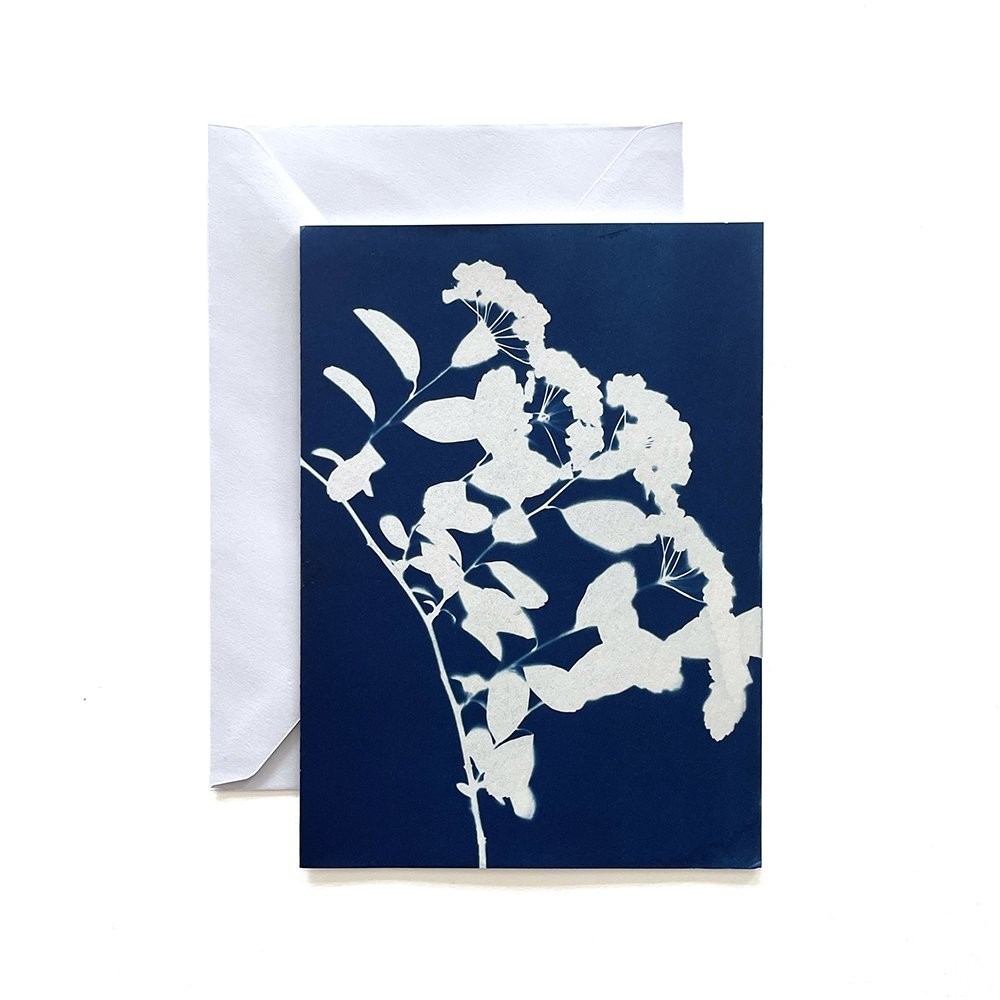 Cyanotype Greeting Card