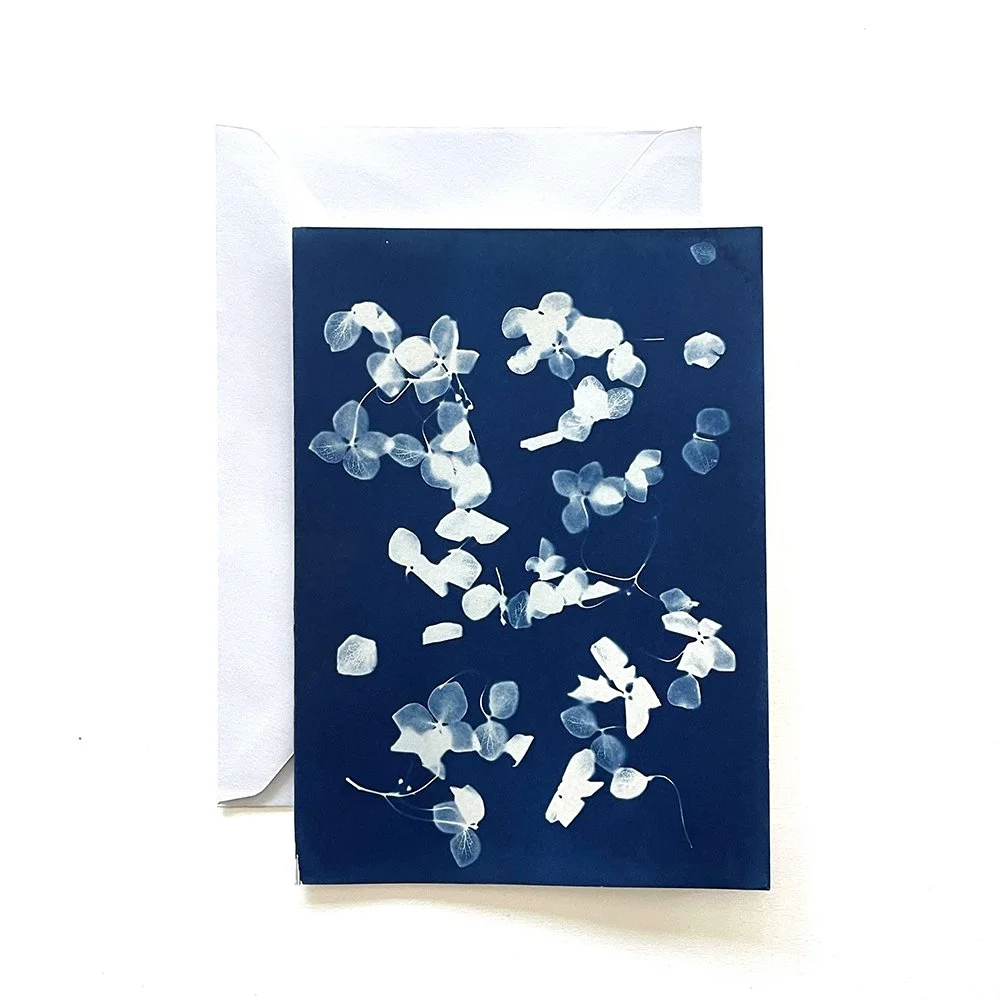 Cyanotype Greeting Card