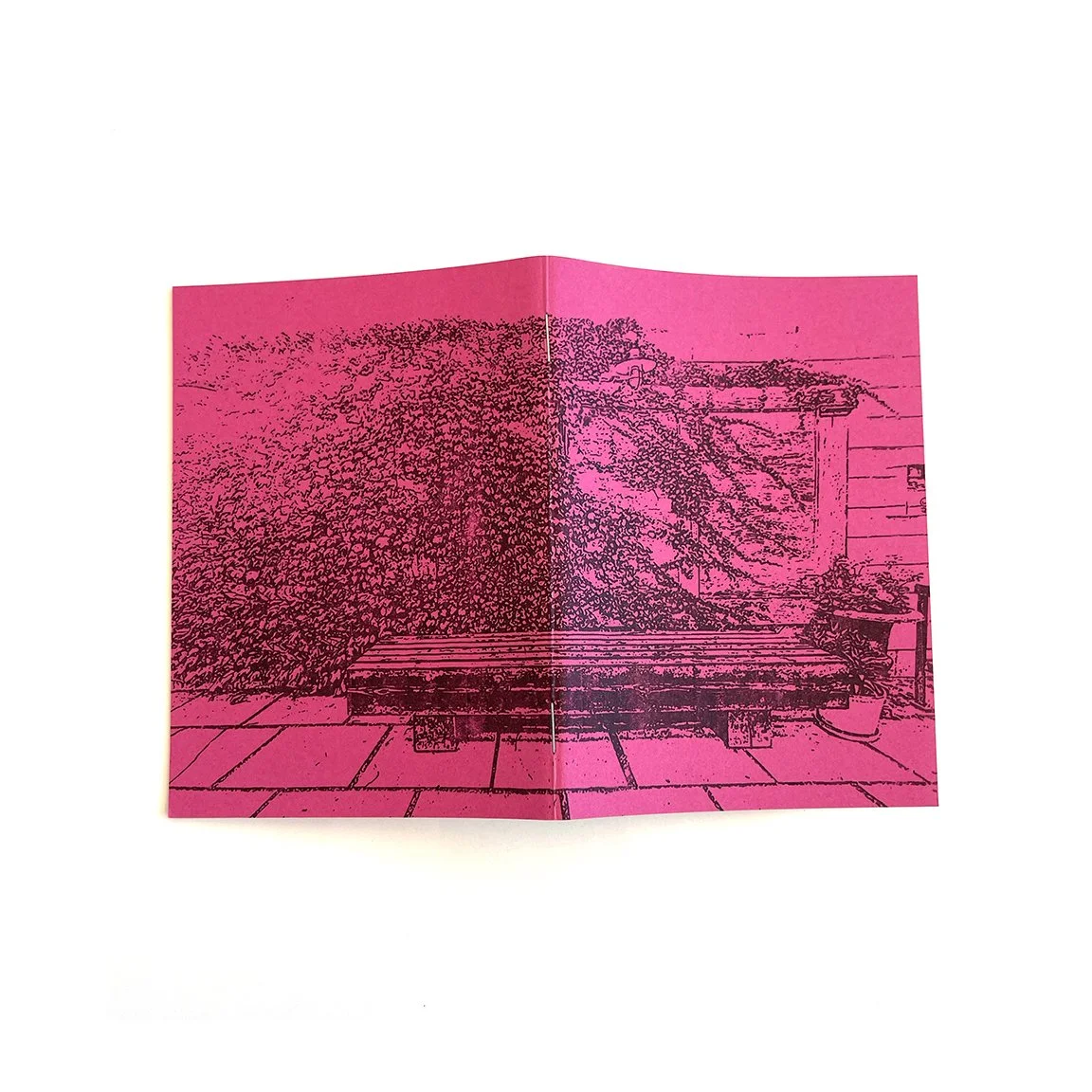 SNB_042A.jpg