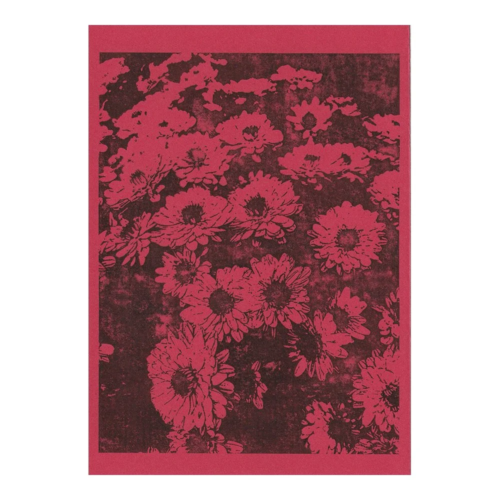 Image Transfer Print - 5" x 7"