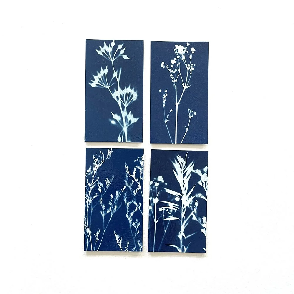 Cyanotype Magnets - Set of 4